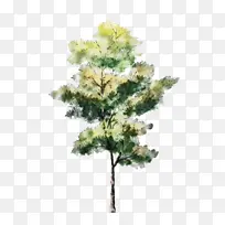 绘画 水彩画 树木-空若网 绘画 水彩画 树木-空若网
