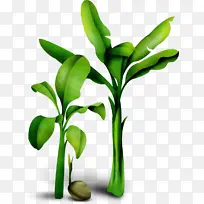 水彩画 颜料 湿墨-空若网 水彩画 颜料 湿墨-空若网