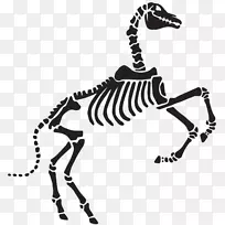 ����������Ұ����������-������