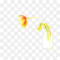 ��ͨ ��ɫ ��ɫ-������