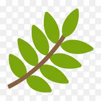 枫叶 树叶 树枝-空若网 枫叶 树叶 树枝-空若网