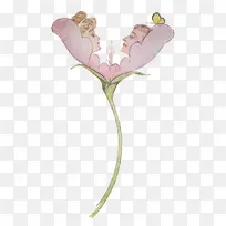 花 蔷薇科 玫瑰-空若网 花 蔷薇科 玫瑰-空若网