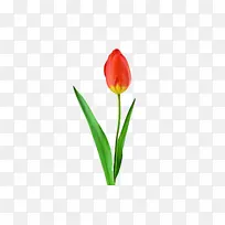 ������ �� ֲ��Ⱥ-������