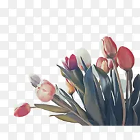 ������ ���� ֲ��-������