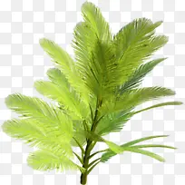 ��ľ ֲ�� ��ľ-������