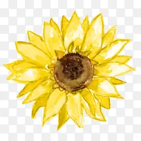 库存摄影 摄影 版税免费-空若网 库存摄影 摄影 版税免费-空若网