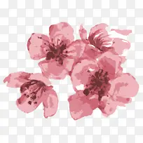 ӣ�� ӣ�� ��Ϧ��������-������