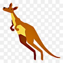 袋鼠 红狐 巨足动物-空若网 袋鼠 红狐 巨足动物-空若网