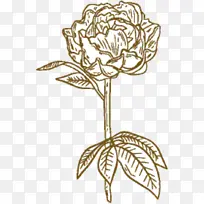 ������� õ�� �л�-������