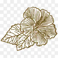 绘画 开花植物 线-空若网 绘画 开花植物 线-空若网