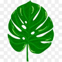 叶子 树 绿色-空若网 叶子 树 绿色-空若网