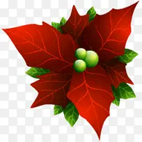 叶 花 红色-空若网 叶 花 红色-空若网