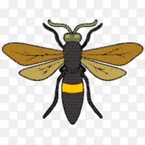 �۷� ���� ��ɫ-������