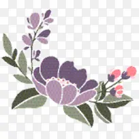 花卉设计 玫瑰科 玫瑰-空若网 花卉设计 玫瑰科 玫瑰-空若网