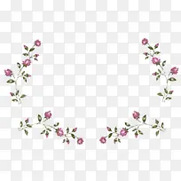 动画 花卉 烟花-空若网 动画 花卉 烟花-空若网