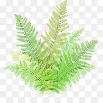 ˮ�� ���� ʪī-������