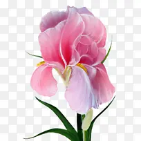 ���� ��԰õ�� �β��-������