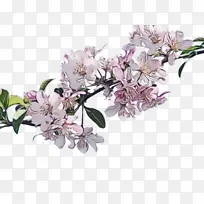 ˮ�� ���� ʪī-������