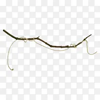 树枝 叶子 中心博客-空若网 树枝 叶子 中心博客-空若网