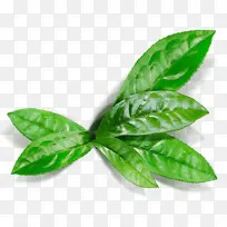 水彩画 油漆 湿墨-空若网 水彩画 油漆 湿墨-空若网