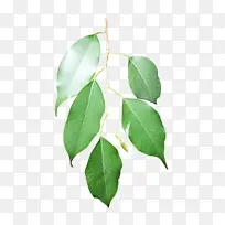 水彩画 油漆 湿墨水-空若网 水彩画 油漆 湿墨水-空若网