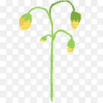 树枝 植物茎 开花植物-空若网 树枝 植物茎 开花植物-空若网