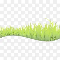 ˮ�ʻ� ���� ʪīˮ-������