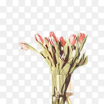 卡通 花卉设计 切花-空若网 卡通 花卉设计 切花-空若网