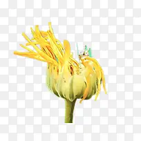 ��ͨ �ѹ�Ӣ �л�-������