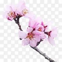 ˮ�ʻ� ���� ʪī-������