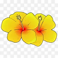 花瓣 切花 植物茎-空若网 花瓣 切花 植物茎-空若网