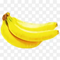 �㽶 ������ ����㽶-������