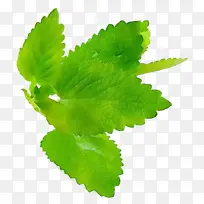 水彩画 颜料 湿墨-空若网 水彩画 颜料 湿墨-空若网