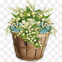 花卉设计 中心博客 动画-空若网 花卉设计 中心博客 动画-空若网