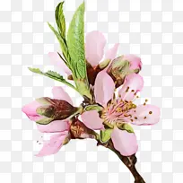 水彩画 颜料 湿墨-空若网 水彩画 颜料 湿墨-空若网