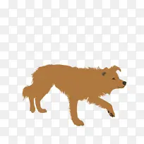 边境牧羊犬 粗牧羊犬 德国牧羊犬-空若网 边境牧羊犬 粗牧羊犬 德国牧羊犬-空若网