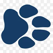 老虎 爪子 桌面壁纸-空若网 老虎 爪子 桌面壁纸-空若网