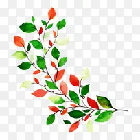 С֦ �л� �������-������