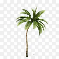 椰子 植物茎 花盆-空若网 椰子 植物茎 花盆-空若网