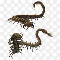 òÚò¼ À¥³æ ǧ×ã³æ-¿ÕÈôÍø òÚò¼ À¥³æ ǧ×ã³æ-¿ÕÈôÍø