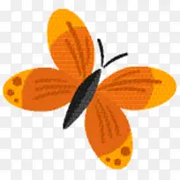 昆虫 膜 蝴蝶-空若网 昆虫 膜 蝴蝶-空若网