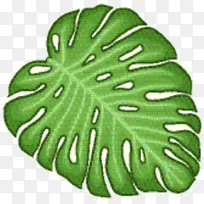 蔬菜 叶子 树-空若网 蔬菜 叶子 树-空若网