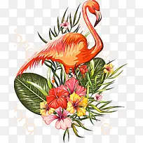 花卉设计 切花 开花植物-空若网 花卉设计 切花 开花植物-空若网