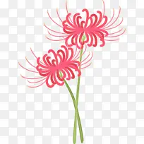 花卉 花卉设计 绘画-空若网 花卉 花卉设计 绘画-空若网