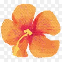 õ���� ���� ����-������