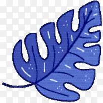 Ò¶×Ó îÜÀ¶ ¿ª»¨Ö²Îï-¿ÕÈôÍø Ò¶×Ó îÜÀ¶ ¿ª»¨Ö²Îï-¿ÕÈôÍø