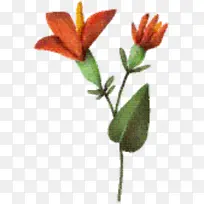 花 植物茎 草本植物-空若网 花 植物茎 草本植物-空若网