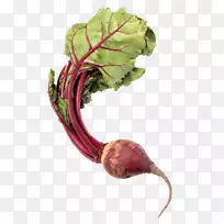 甜菜根蔬菜下载-紫甜菜-空若网 甜菜根蔬菜下载-紫甜菜-空若网