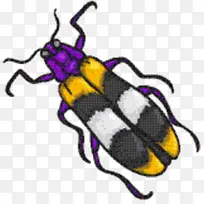 昆虫 象甲 紫色-空若网 昆虫 象甲 紫色-空若网