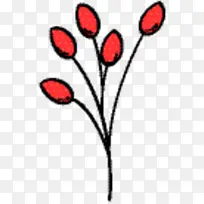 切花 植物茎 叶-空若网 切花 植物茎 叶-空若网